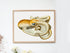 raw wood framed vintage velodona octopus illustration print wall art